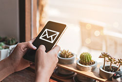 Choose VAS Services SMS Service